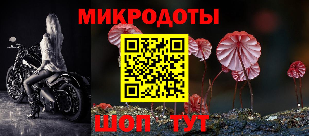 Псилоцибиновые грибы Cubensis  Вход с VPN  Лесосибирск 